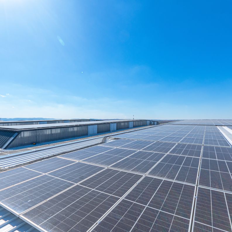 Contact Rhino Energy Solutions