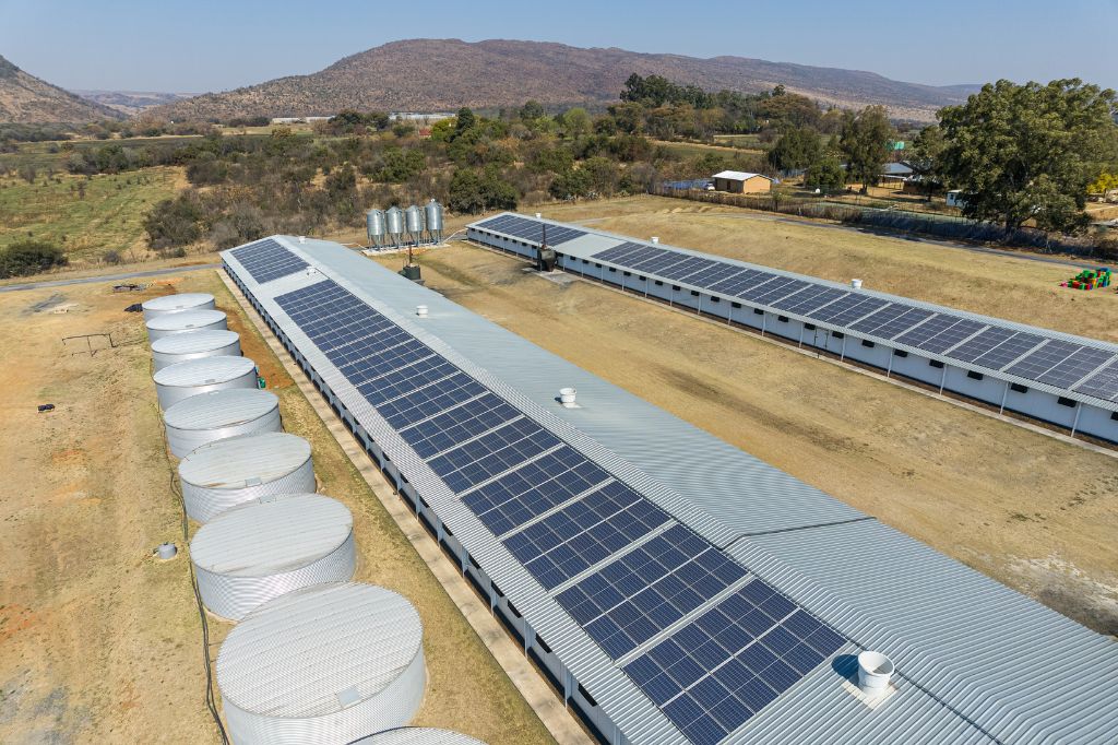 Rhino Energy Solutions Agriculture Projects – Poultry Farm 2
